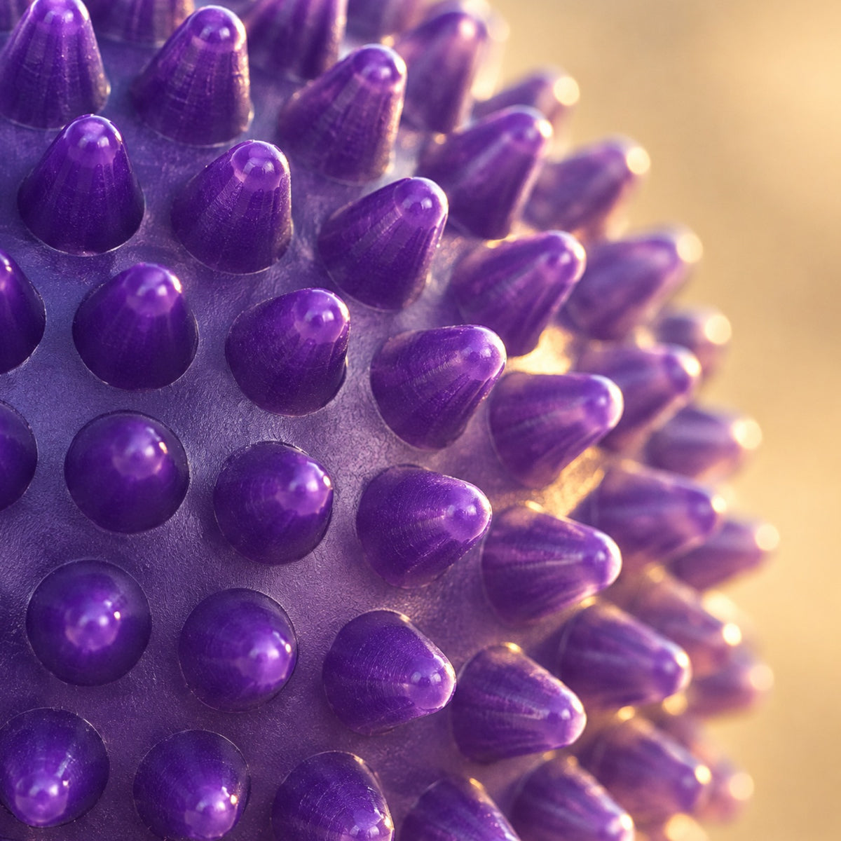 Gros plan sur les picots fermes de la balle violette Image